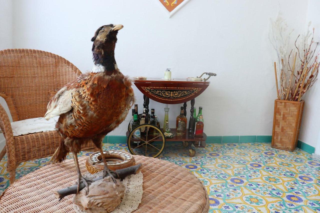 Apartment Sorrento Realty Holidays - Erika Apt Positano